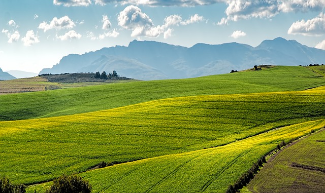 Italija posao 2024 - Smeštaj osiguran i 14e po satu