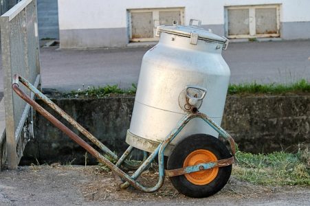 NORVESKA ZAPOSLENJE NA FARMI - PLATA 2500E