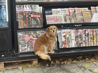 Zaklon od kiše – POSAO